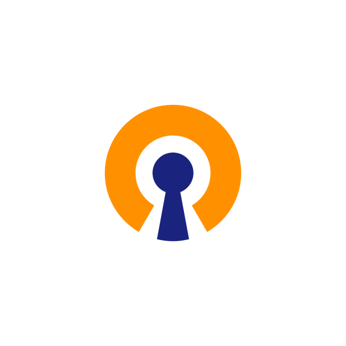VPN